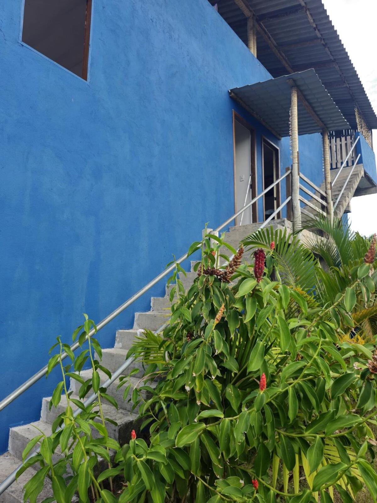 Apartment Mar De Mamoa